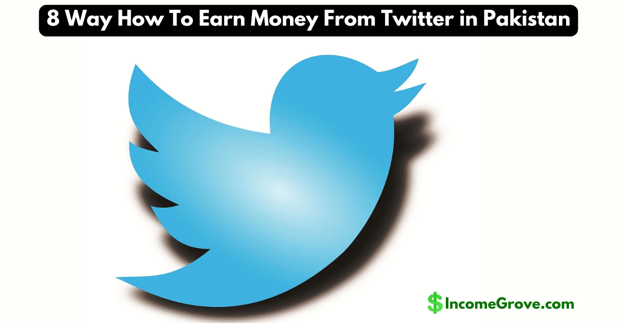 How To Earn Money From Twitter in Pakistan