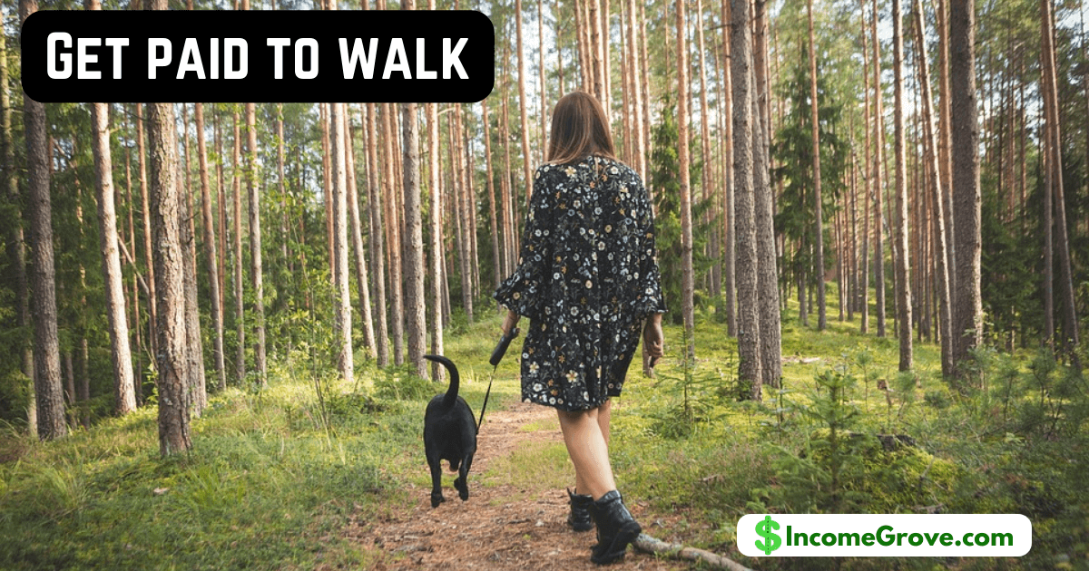 Get paid to walk