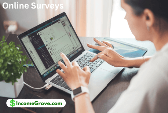 Online Surveys 