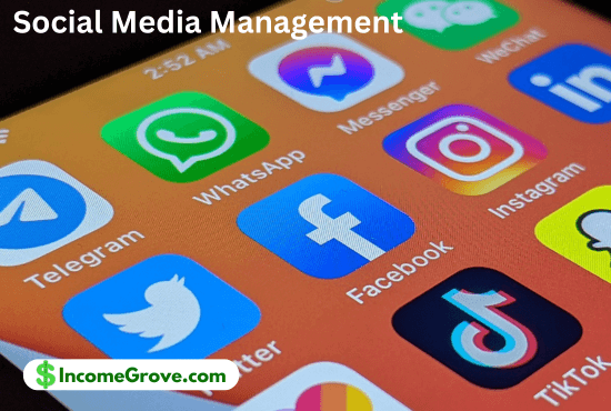 Social Media Management